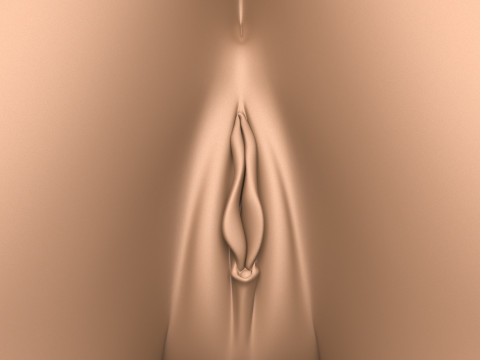 3D Print Ready Female Vagina With Torso 3D Принт Модель