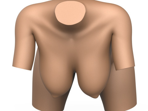 3D Print Ready Female Vagina With Torso 3D Принт Модель