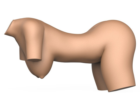 3D Print Ready Female Vagina With Torso 3D Принт Модель
