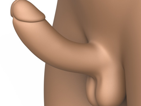 3D Print Ready She Male Torso With Penis 3D Принт Модель