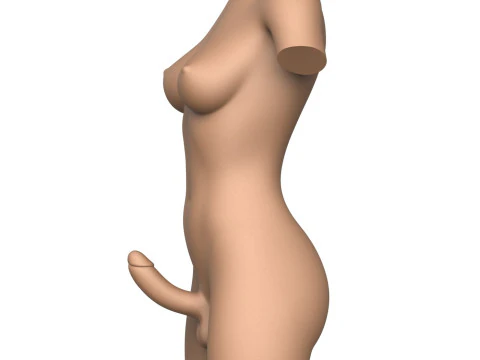 3D-Druck bereit, m&auml;nnlicher Torso mit Penis 3D Druckmodell