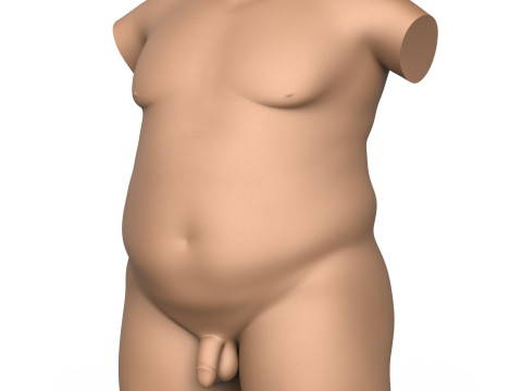 3D Print Ready Fat Man Torso With Penis 3D प्रिंट मॉडल
