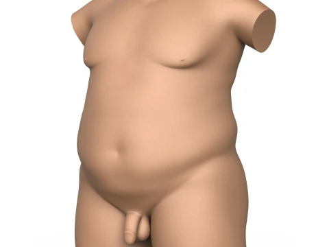 3D Print Ready Fat Man Torso With Penis 3D Print Model