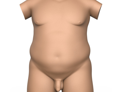 3D Print Ready Fat Man Torso With Penis 3D प्रिंट मॉडल