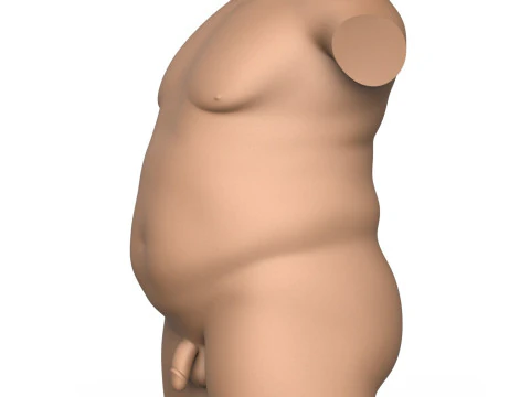 3D Print Ready Fat Man Torso With Penis 3D Print Model