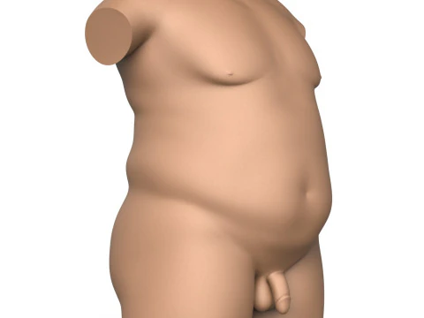 3D Print Ready Fat Man Torso With Penis 3D Print Model