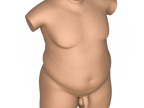 3D Print Ready Fat Man Torso With Penis 3D Print Model