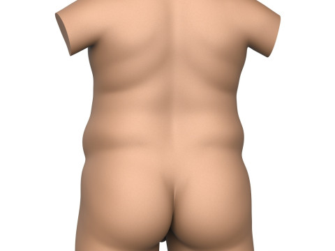 3D Print Ready Fat Man Torso With Penis 3D प्रिंट मॉडल