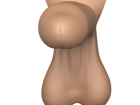 Photorealistic 3D Print Ready Man Erect Penis 3D 打印模型