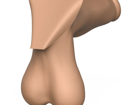 Photorealistic 3D Print Ready Man Erect Penis 3D Print Model