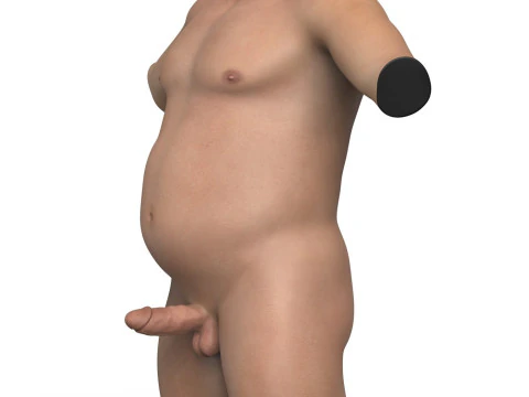 Heavy Man Torso With Erect Penis 3D Model