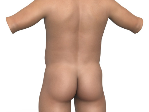Heavy Man Torso With Erect Penis Modèle 3D
