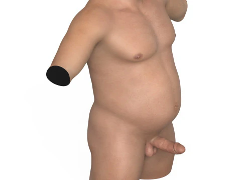 Heavy Man Torso With Erect Penis 3D Model