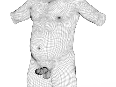 Heavy Man Torso With Erect Penis 3D Model