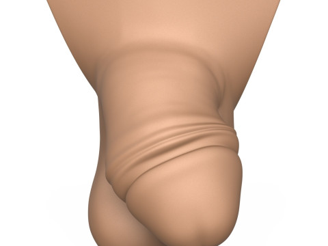 3D Print Ready Small Thick Penis 3D Принт Модель