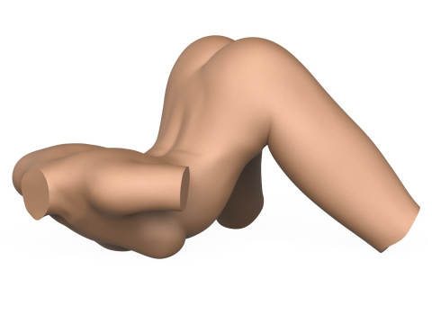 3D Print Ready Female Vagina With Torso 3D Print Model
