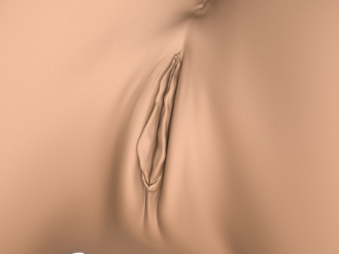 3D Print Ready Female Vagina With Torso 3D Print Model