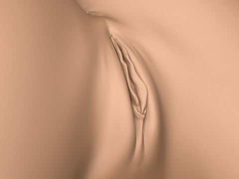 3D Print Ready Female Vagina With Torso 3D Print Model