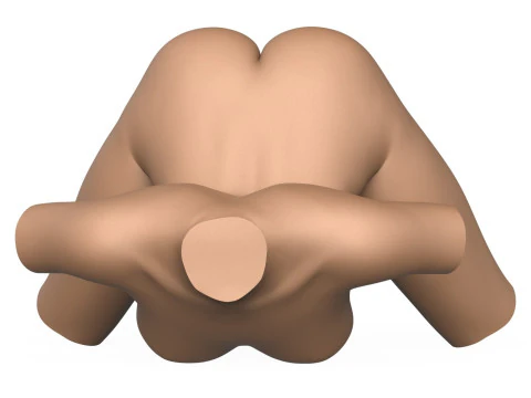 3D Print Ready Female Vagina With Torso 3D Print Model