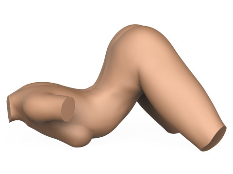3D Print Ready Female Vagina With Torso 3D Print Model