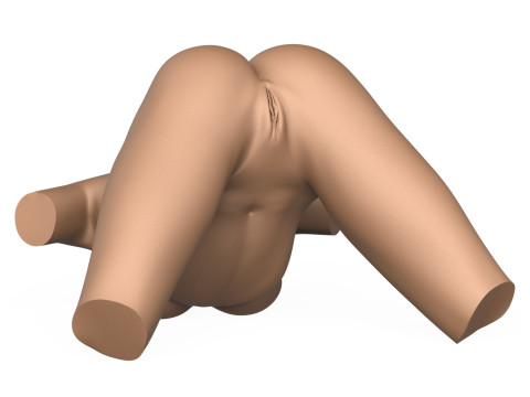 3D Print Ready Female Vagina With Torso 3D Print Model