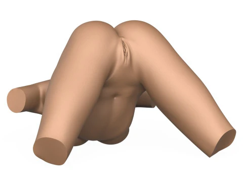 3D Print Ready Female Vagina With Torso 3D Print Model