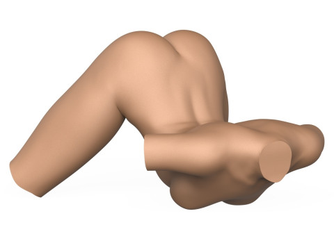 3D Print Ready Female Vagina With Torso 3D Print Model