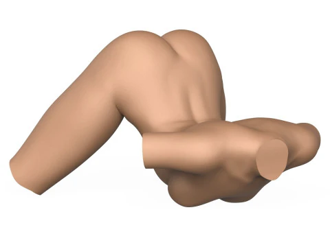 3D Print Ready Female Vagina With Torso 3D Print Model