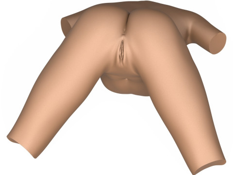 3D Print Ready Female Vagina With Torso 3D Print Model