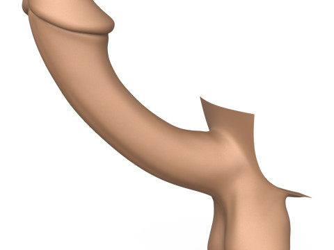 3D Print Ready Fantasy Penis Modelo de impresión 3D