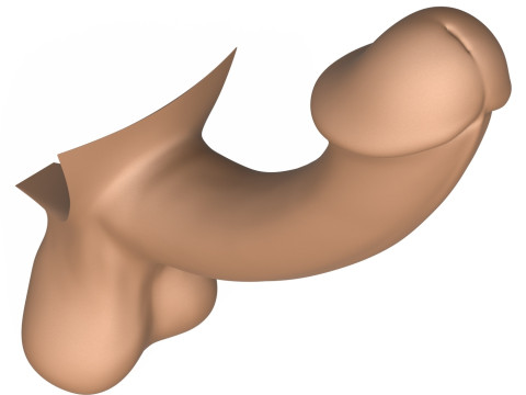 3D Print Ready Fantasy Penis Modelo de impresión 3D