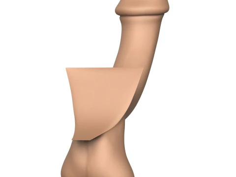 3D Print Ready Fantasy Penis 3D Print Model