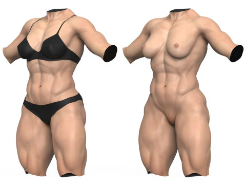 Muscular Woman Torso 3D Model