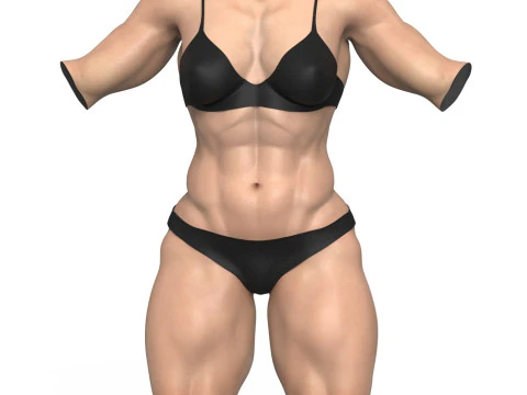 Muscular Woman Torso 3D Model
