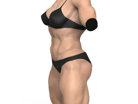 Muscular Woman Torso 3D Model