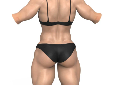 Muscular Woman Torso 3D Model