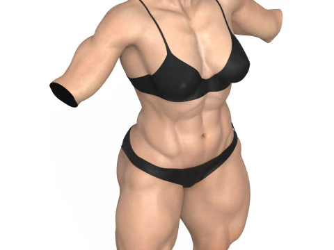 Muscular Woman Torso 3D Model