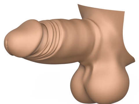 3D Print Ready Small Erect Penis 3D Print Model