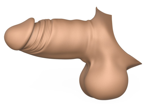 3D Print Ready Small Erect Penis 3D Print Model