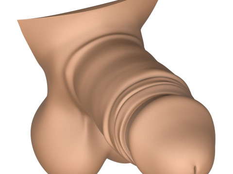 3D Print Ready Small Erect Penis 3D Print Model