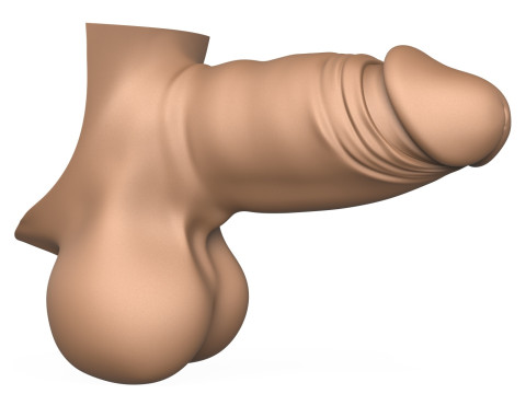 3D Print Ready Small Erect Penis 3D Print Model