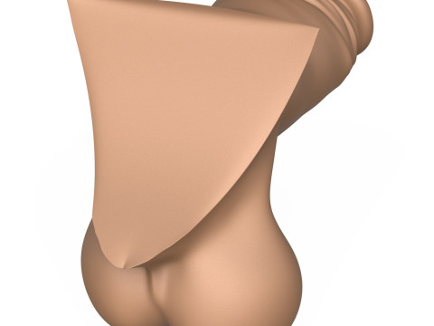 3D Print Ready Small Erect Penis 3D Print Model