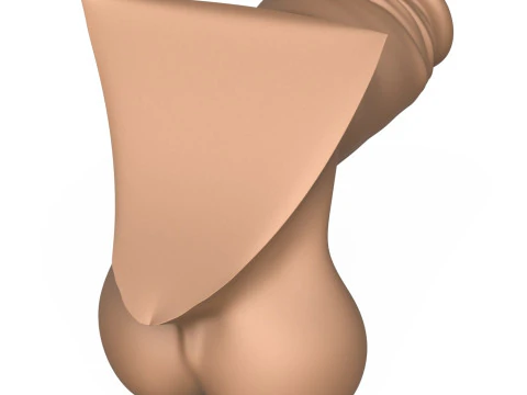 3D Print Ready Small Erect Penis 3D Print Model