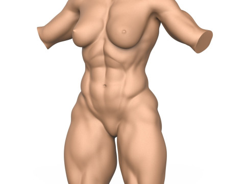 3D Print Ready Muscular Woman Torso Modelo de Impressão 3D