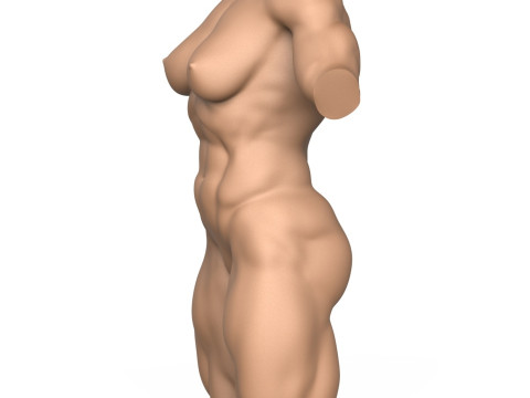 3D Print Ready Muscular Woman Torso Modelo de Impressão 3D