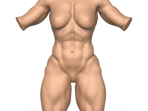 3D Print Ready Muscular Woman Torso Modelo de Impressão 3D