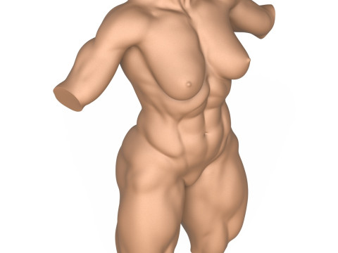 3D Print Ready Muscular Woman Torso Modelo de Impressão 3D