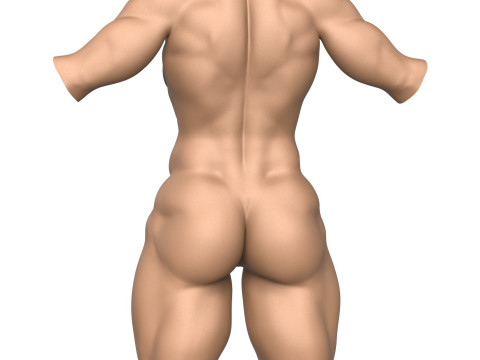 3D Print Ready Muscular Woman Torso Modelo de Impressão 3D