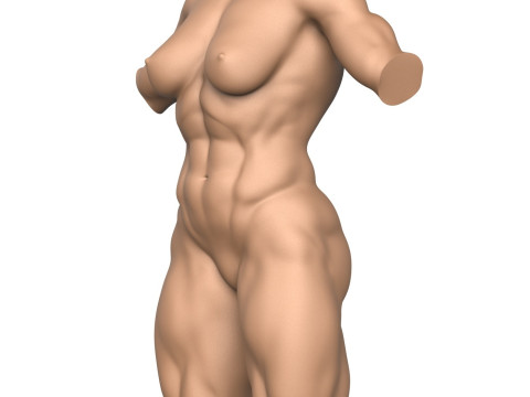 3D Print Ready Muscular Woman Torso Modelo de Impressão 3D