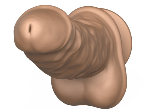 Photorealistic 3D Print Ready Penis Toy 3D 프린트 모델